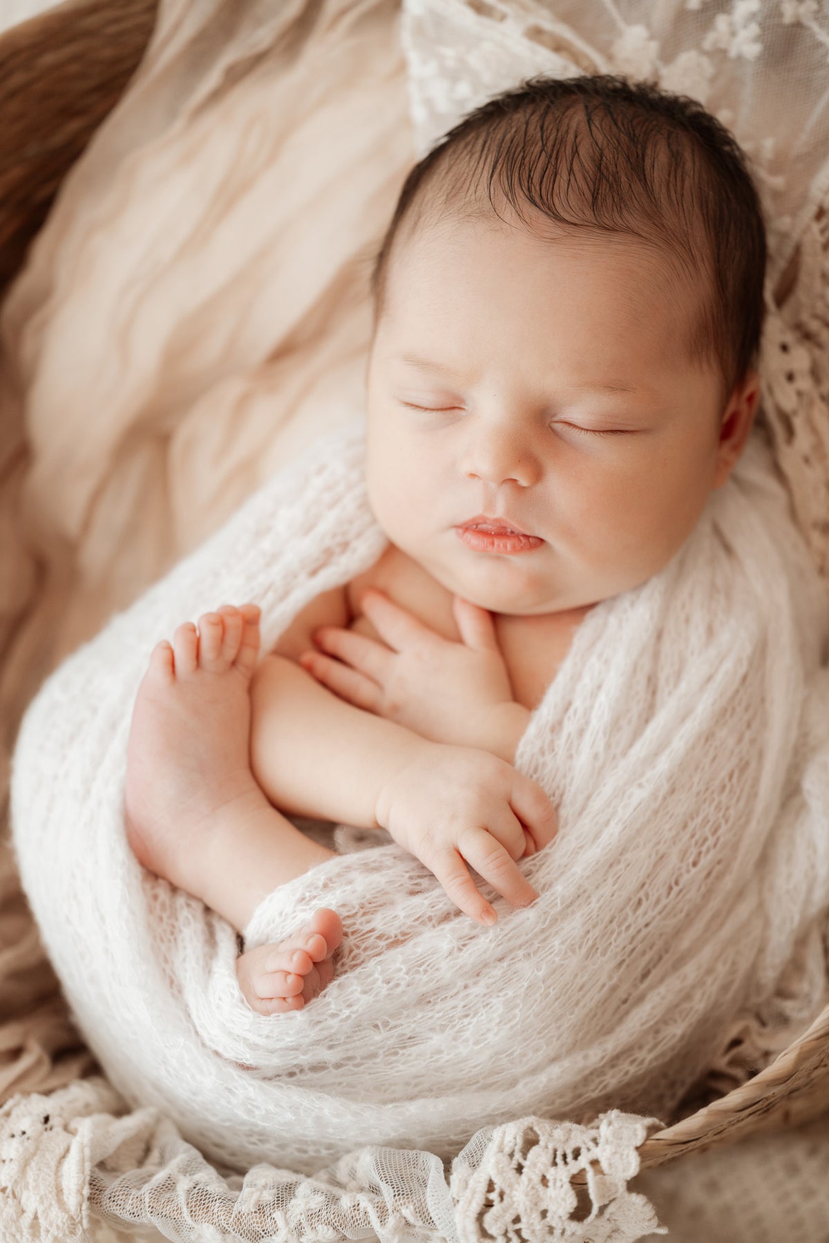 Newborn Studio Photoshoot