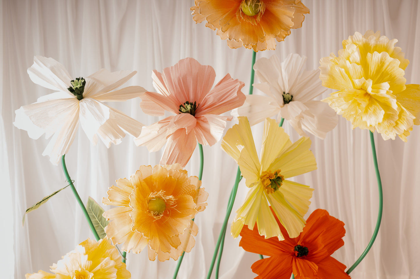 Motherhood In Bloom - Giant Floral Studio Sessions