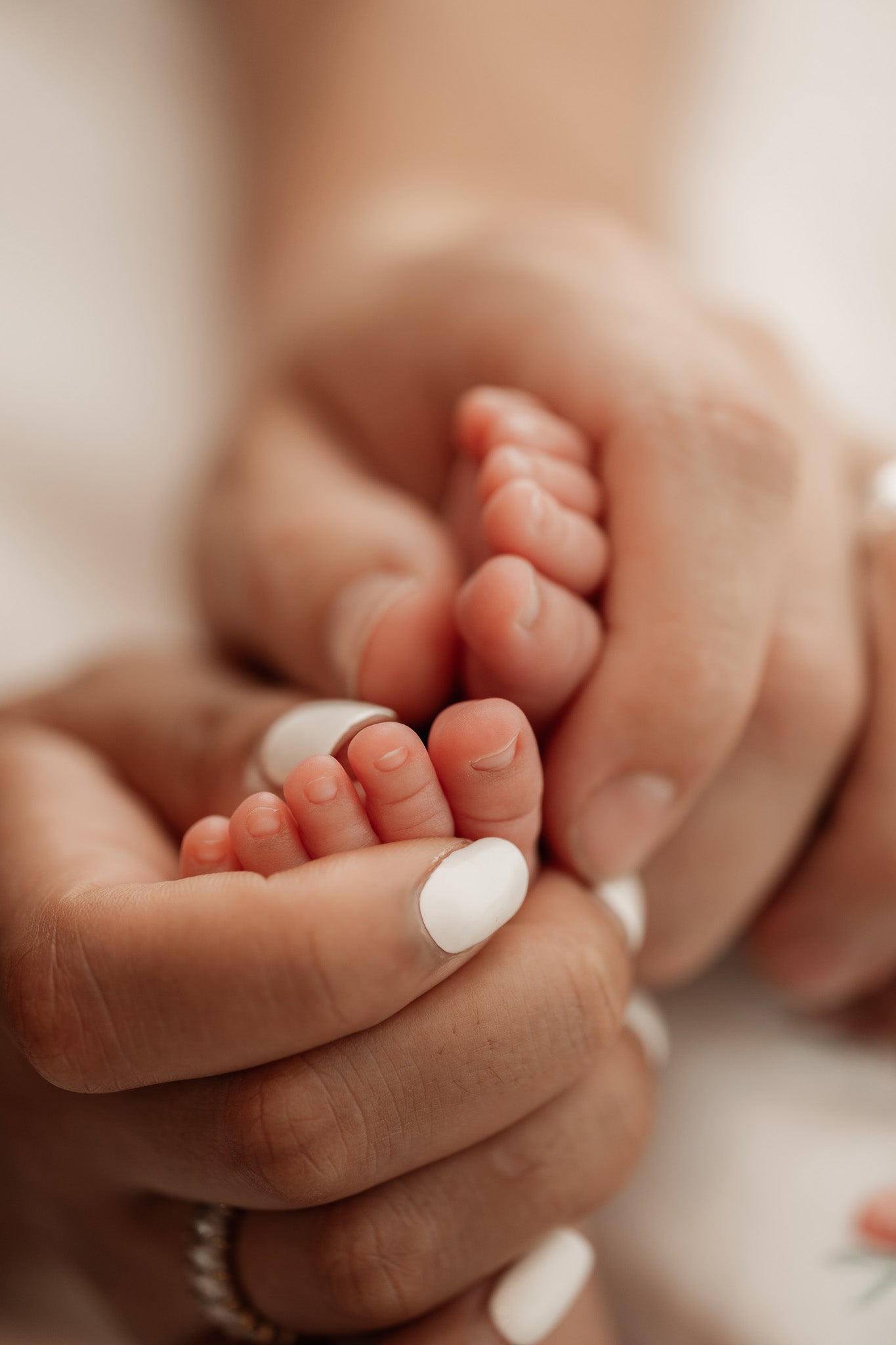 Newborn Studio Photoshoot