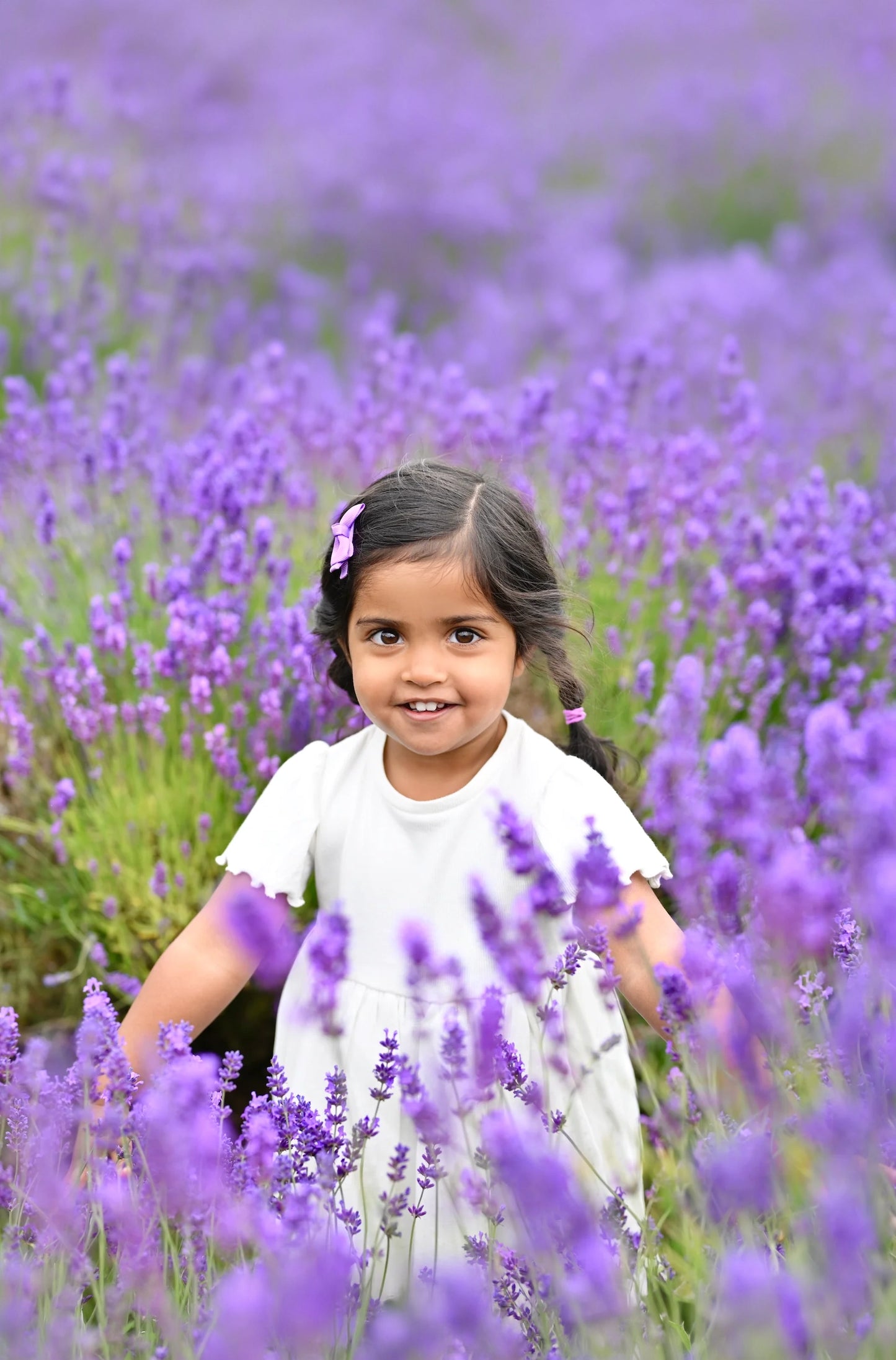 Lavender Field Photoshoots