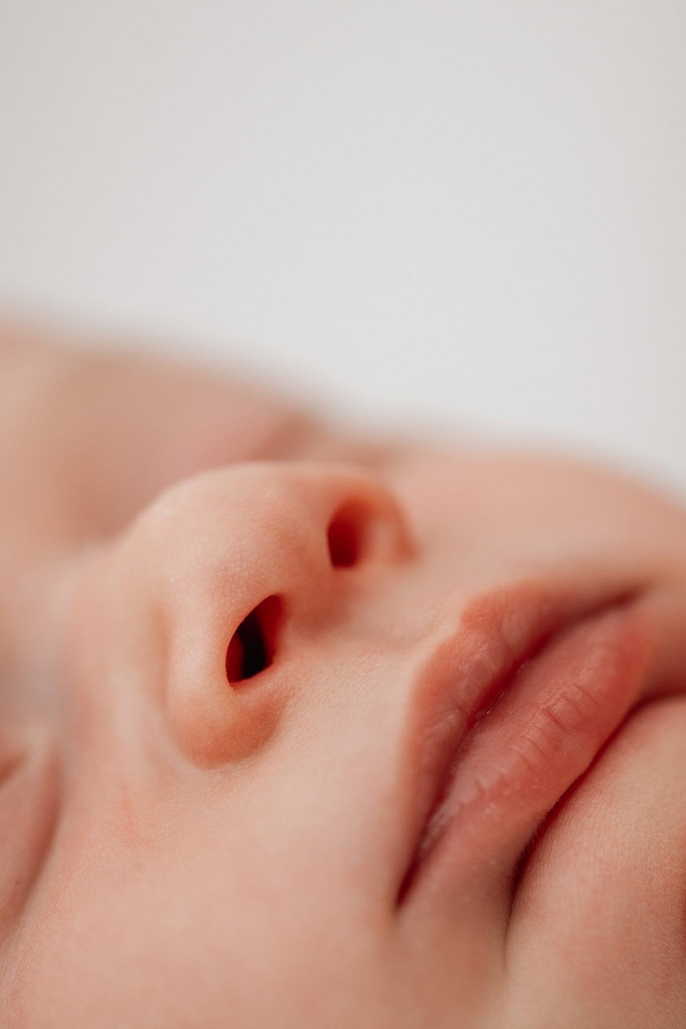 Newborn Studio Photoshoot
