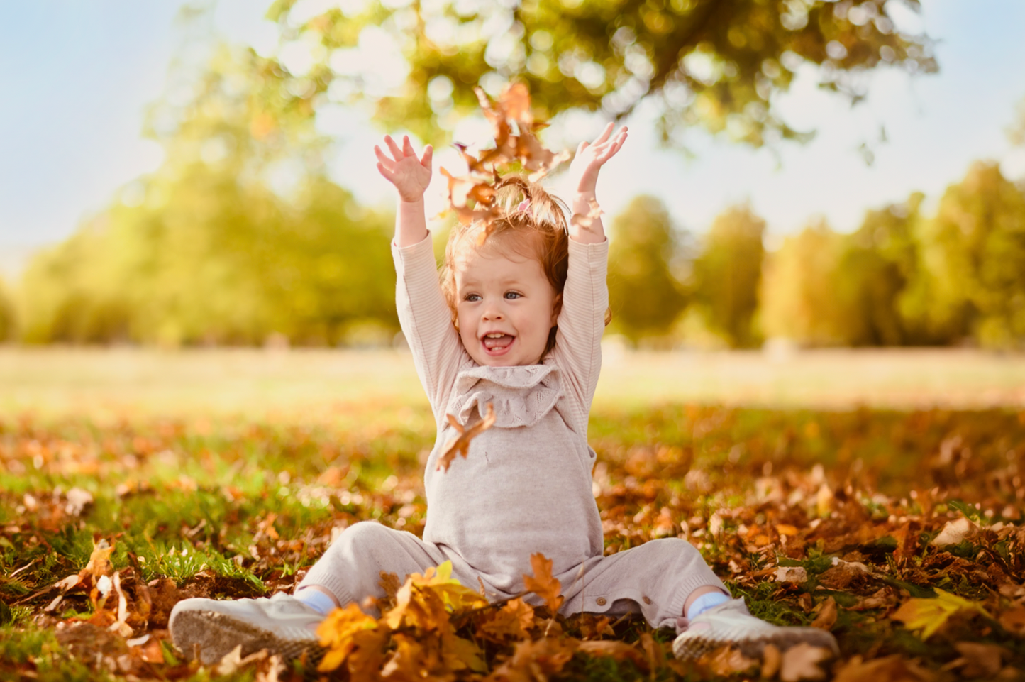 October Half Term Shoots