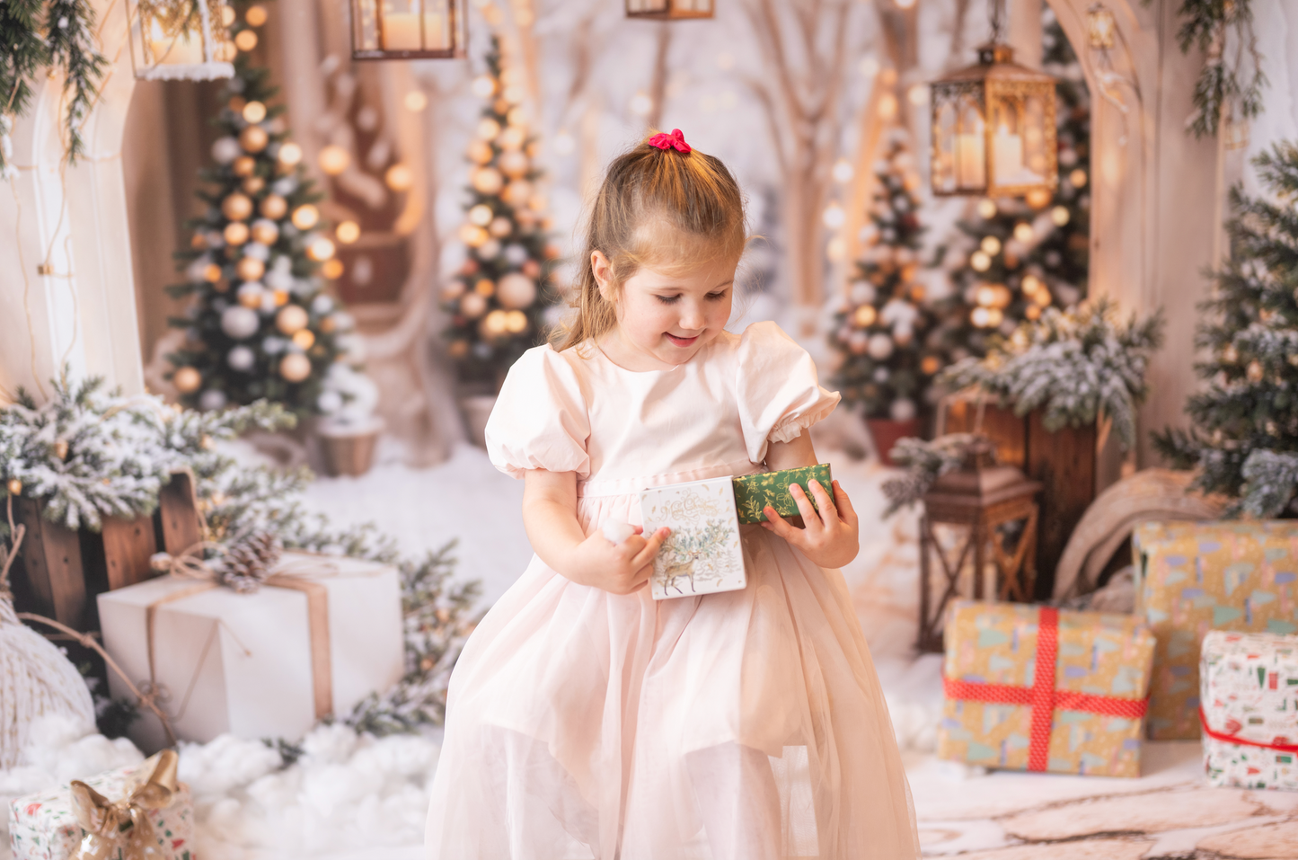 Christmas Photoshoots