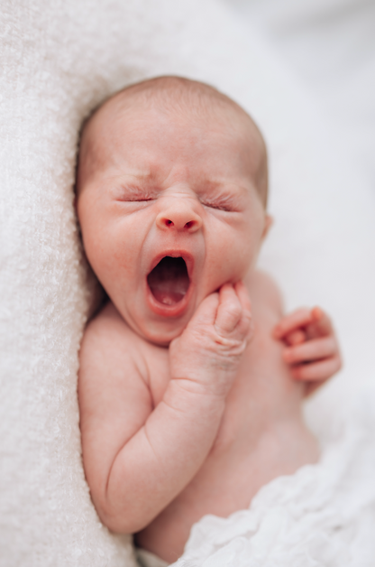 Newborn Studio Photoshoot